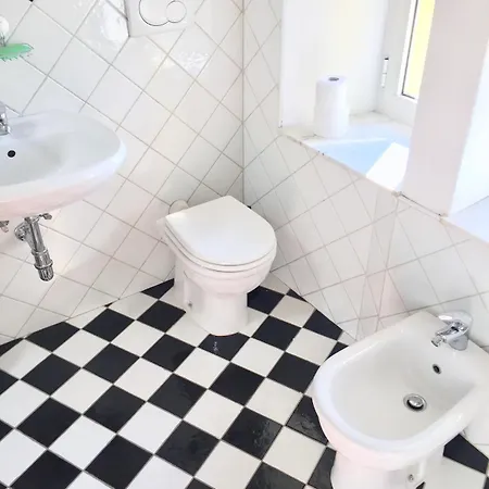 Cacatsu 트리에스테